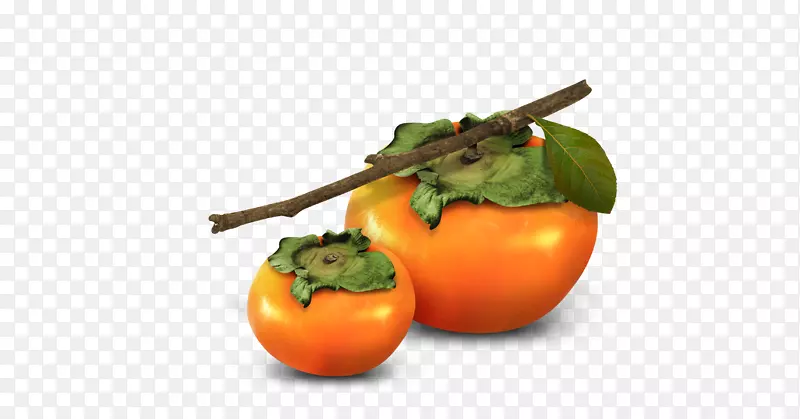 ��ʳ����������ζ��-����-������