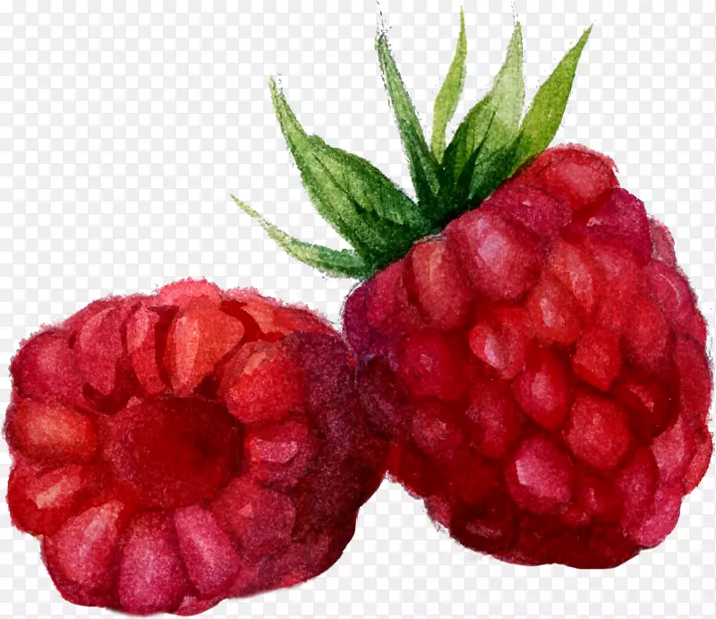 ˮ�ʻ�-������