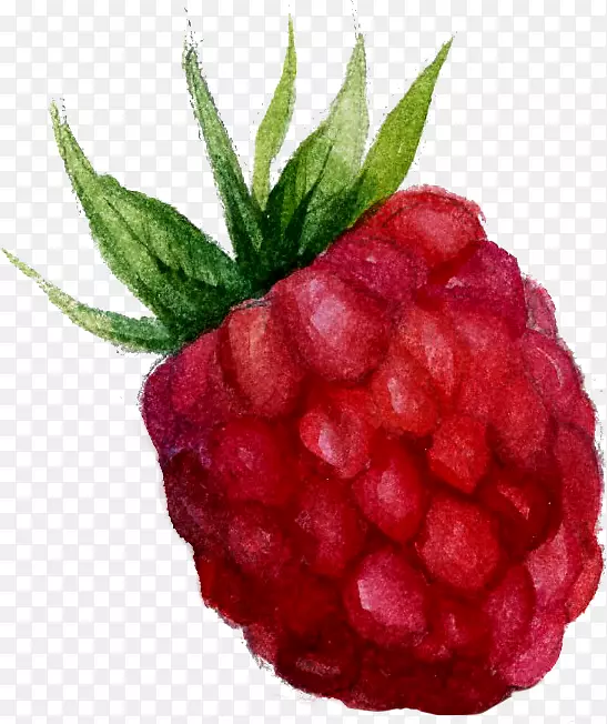 ˮ�ʻ�������-������