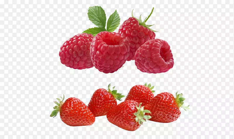 ��ݮ������-������