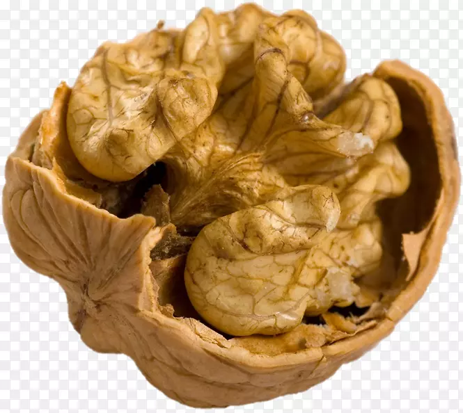 Ӣ�����Ҷ����ں���������������غ�������ͼ-������