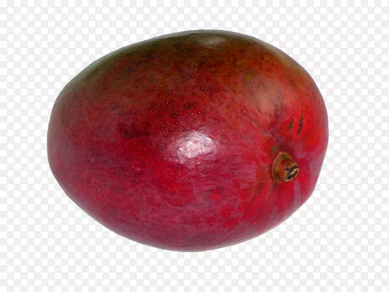 ����ʳ��ƻ��-23-������