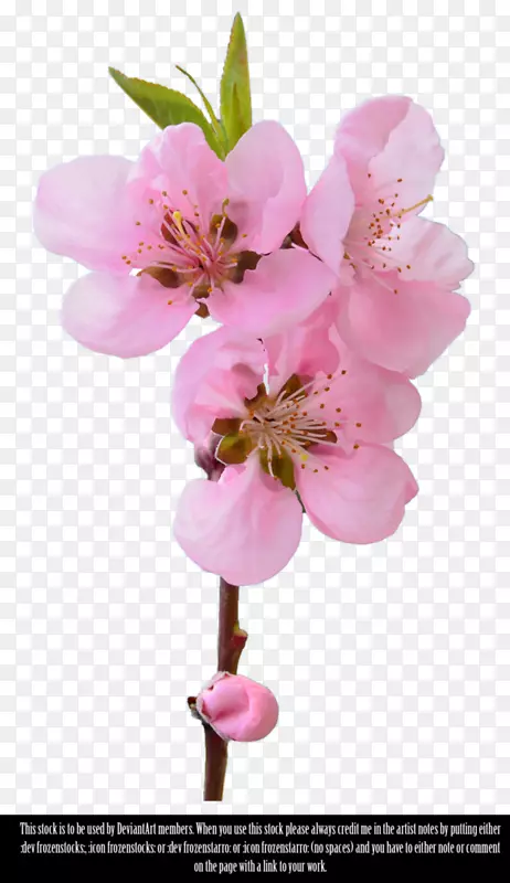 ����������-������-������