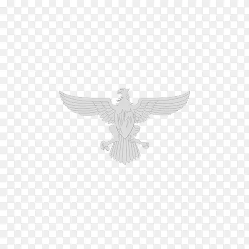 ���ද���������-������