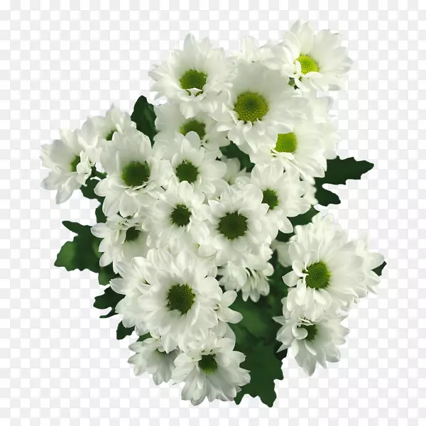 �����л��ջ����-�ջ�-������