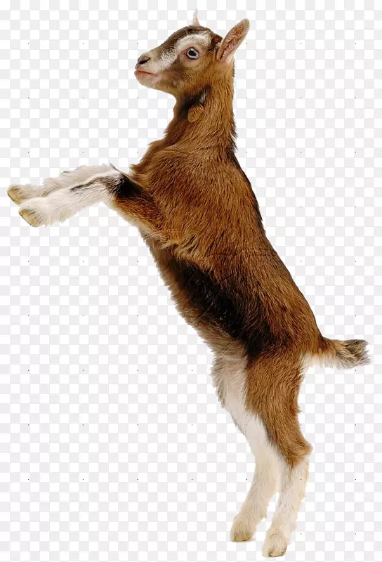 ٪��ɽ���и���ɽ�򣬽����������Ĵ���������ɽ������-ɽ��-������