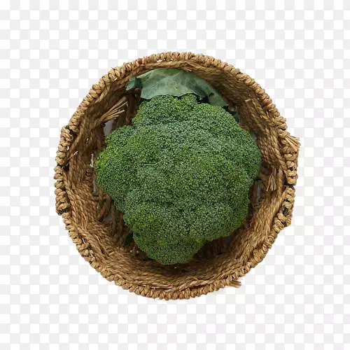 ����ʳƷ�������߲���������-������