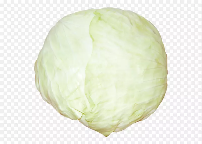 �ײ�-������