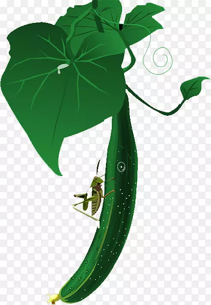 �������ǻƹ��߲�-������