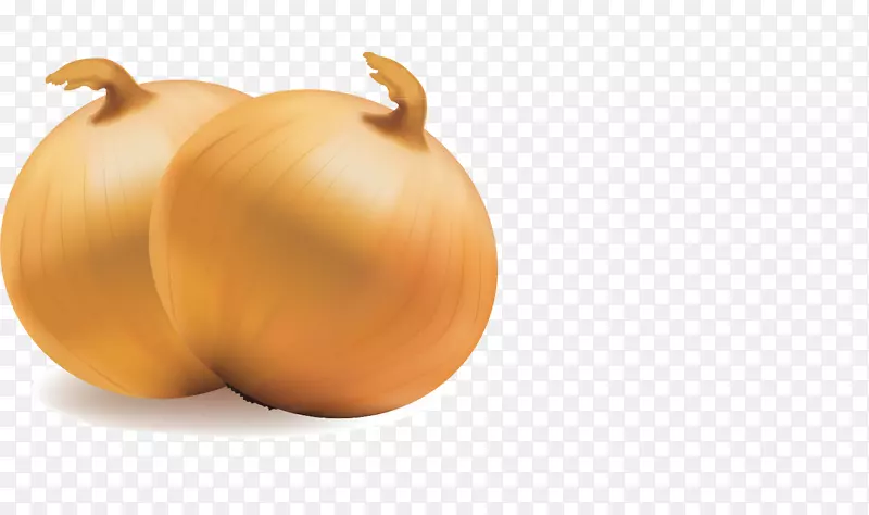 �߲����ˮ���Ϲ����-������