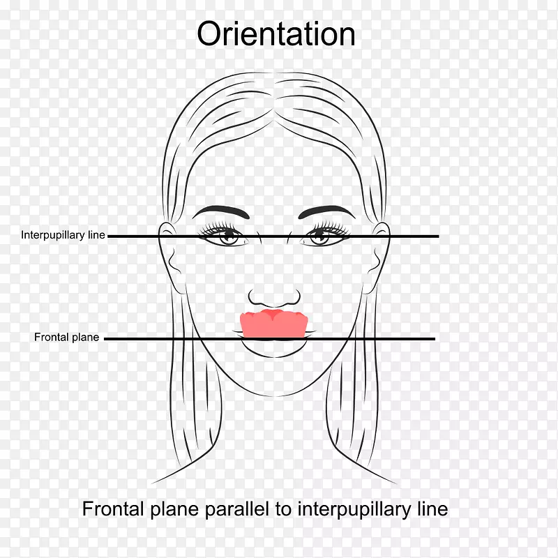 ����ѧ�������������ٴ�ָ��-������