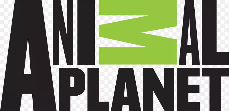 �����������Ƶ�����ӽ�Ŀ���ֹ�˾��-���񴫵�-������