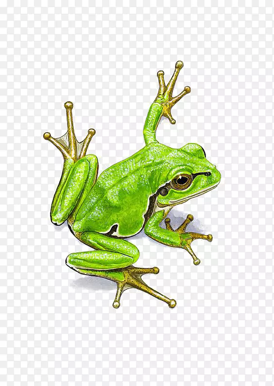 ����ˮ�ʻ�ˮ������-������