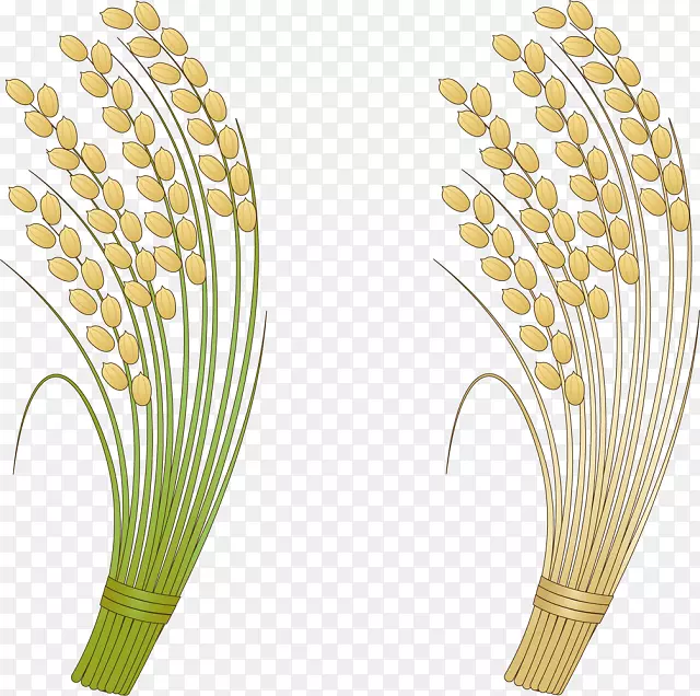 ���׼�����-��ü-������