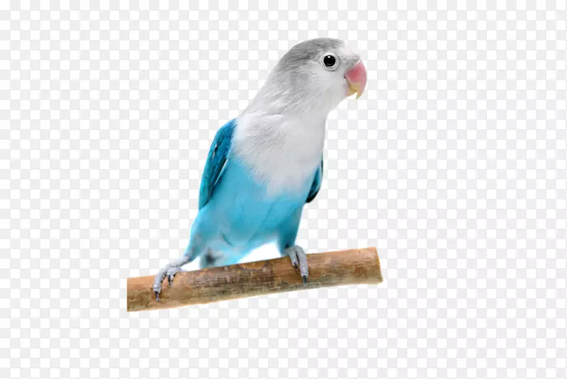 �����������찮���������-������