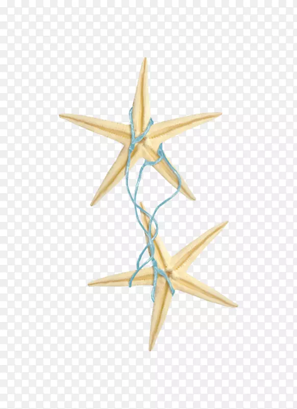 ��������-������-������