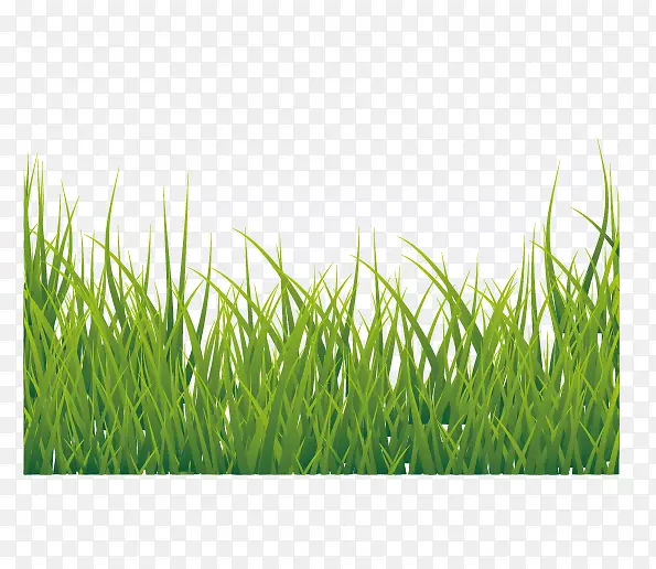 ͼ��-�̲�-������