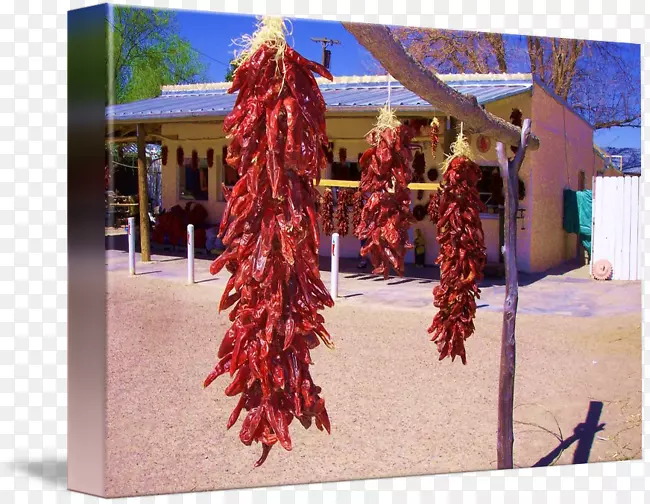 ����������������-������