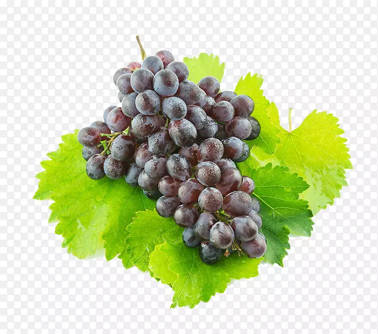 �մ��ù�֭�����������Ѹ�-һ������-������