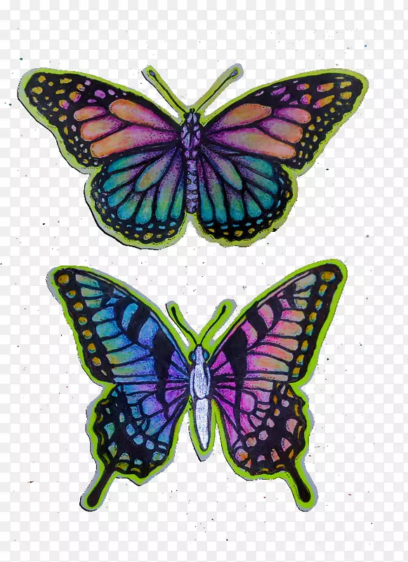 �������ո���ֽ-������