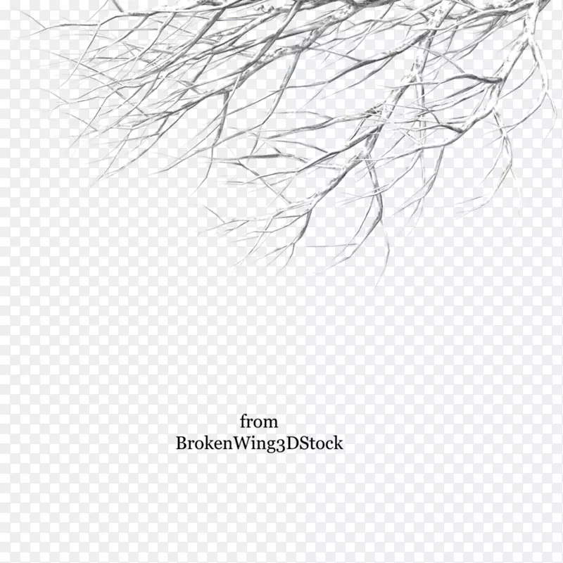 ��֦���ɶ���������-ѩ��-������