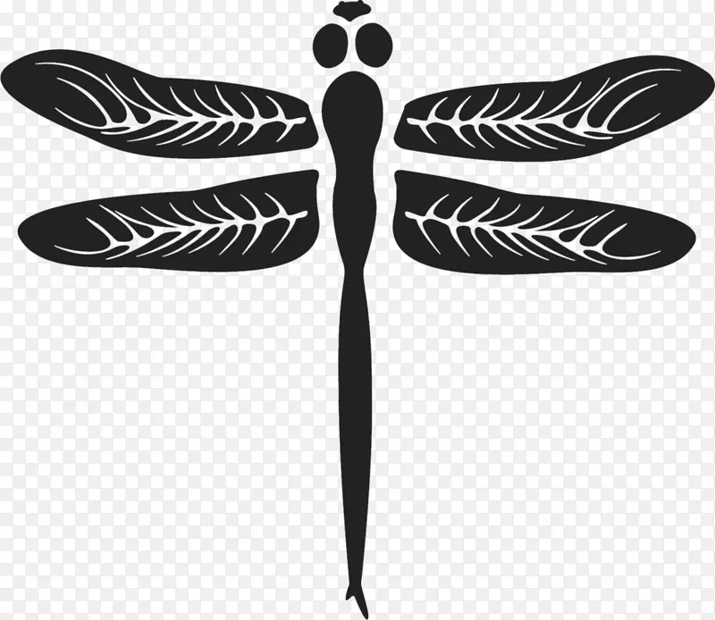 ������12�ϲ�����־����-����Ѫ����-������