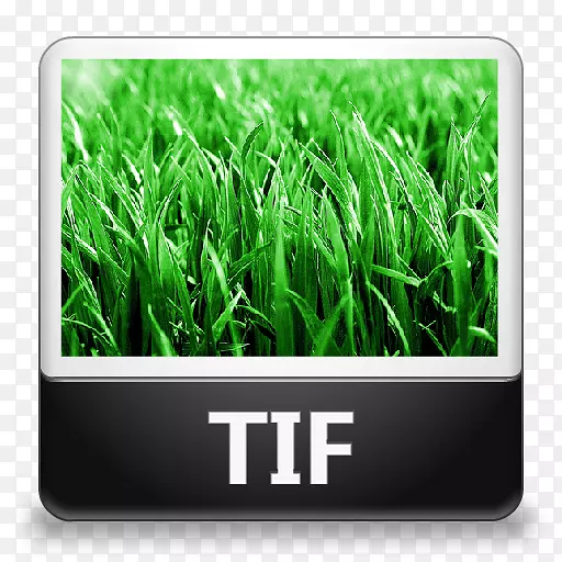 ���α�ǩ-������