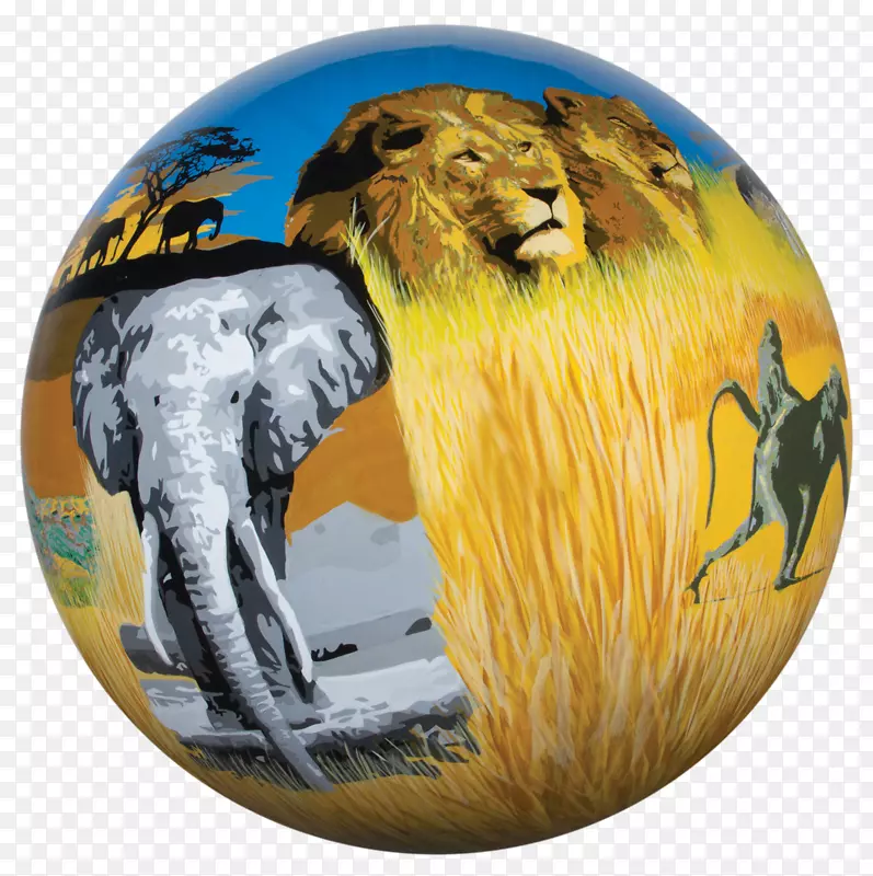 �л��嶯��-����-������