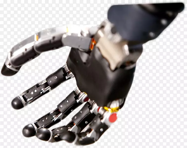 ����ҽѧ��������ҽѧ��ѧ�����֫��������-������