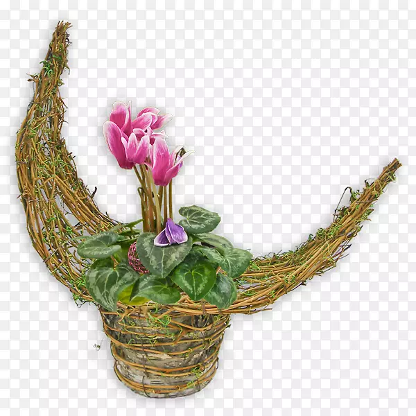 �л���������ƣ��˹�����-õ�廨��-������