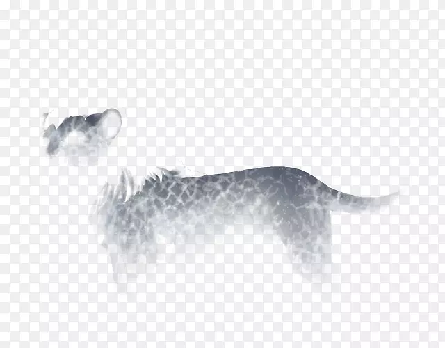 Ȯ��Ȯ�Ʊ���ʳ��-�Ѻ�-������