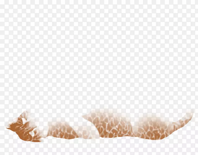 ëƤ��������-������