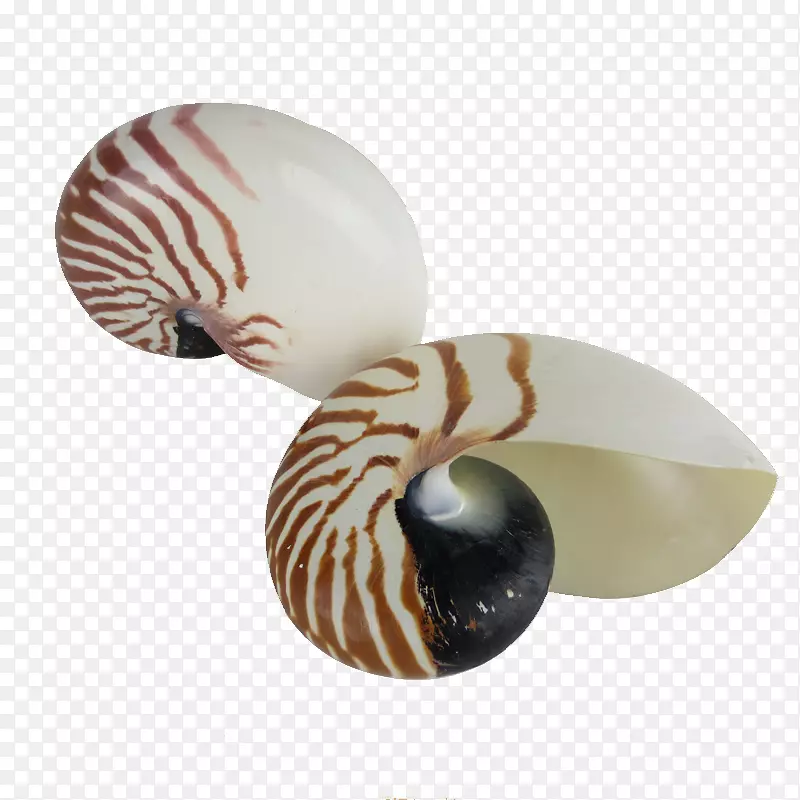 ��������-��˿-������