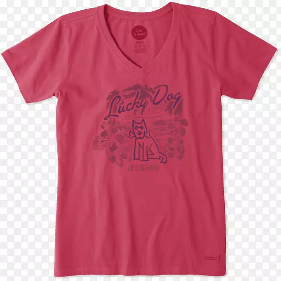 �������˶����������伪�鹷-������