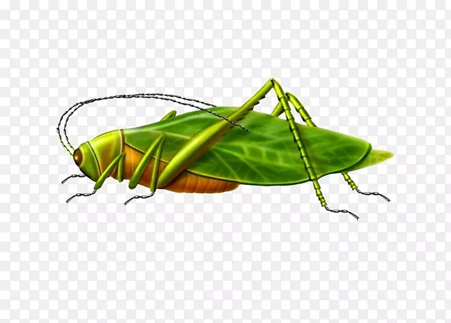 �ȳ��ͼ-�������������ͼ��-������