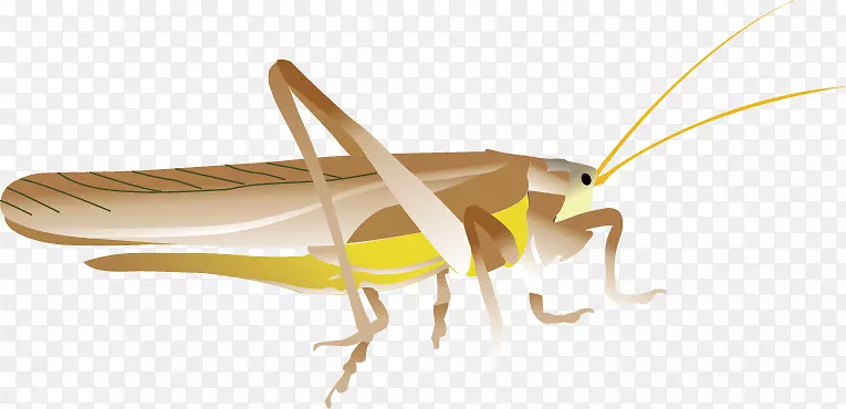 ����-�ȳ�-�ȳ��������-������