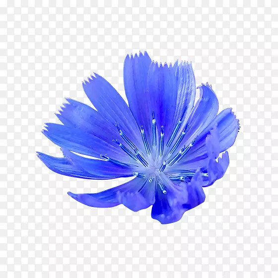 ���׻�����ͼ����ɫ-������