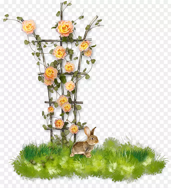 �л�������ƻ��ܻ������ܻ�԰��-������