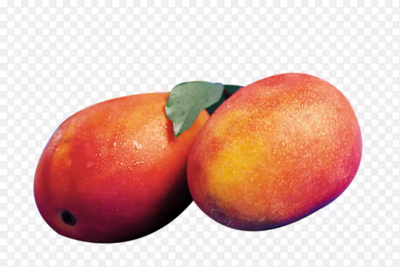 ����â��ʳƷ-â��-������