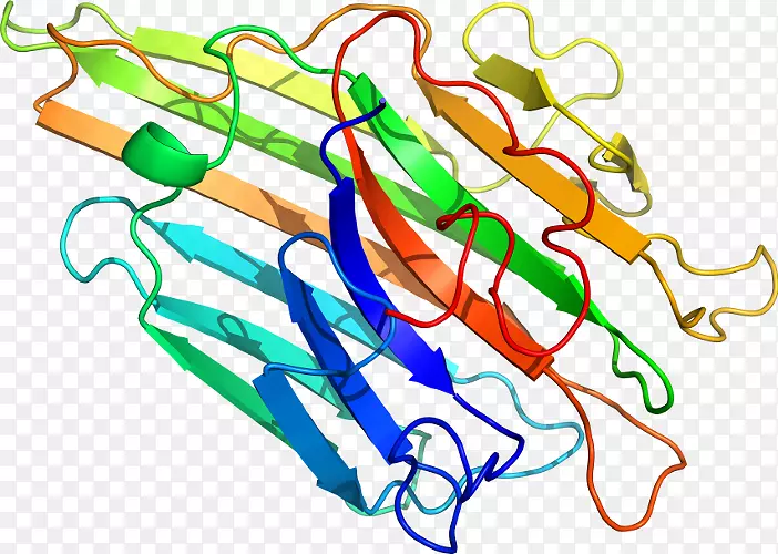 ֱ�ߵ������������-�ݲݸ˾�-������