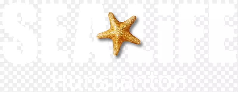 ���Ǻ����޼�׵���������鱦-�������-������