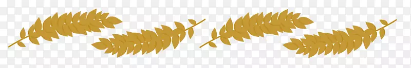 �����ֽ��������ȫ����-������