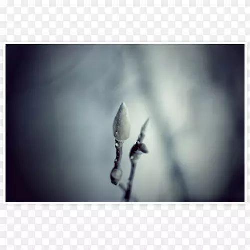 ���������ֽ������Ӱ.����-������