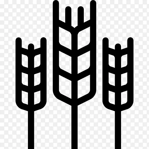 ������ʳƷ����ī������������������-С��-������