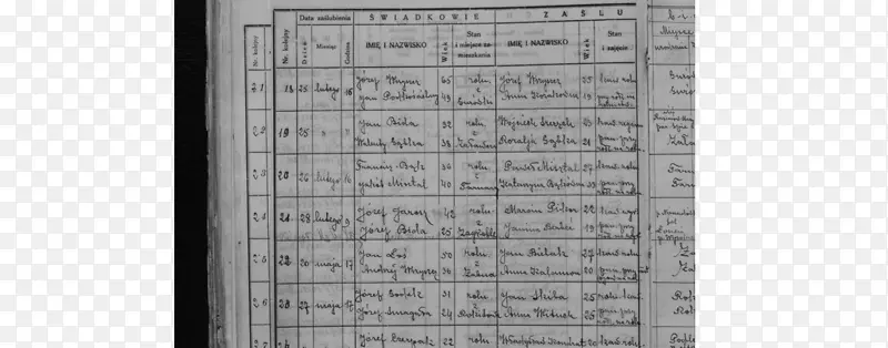 �ǰ�ɫ����-���֤��-������