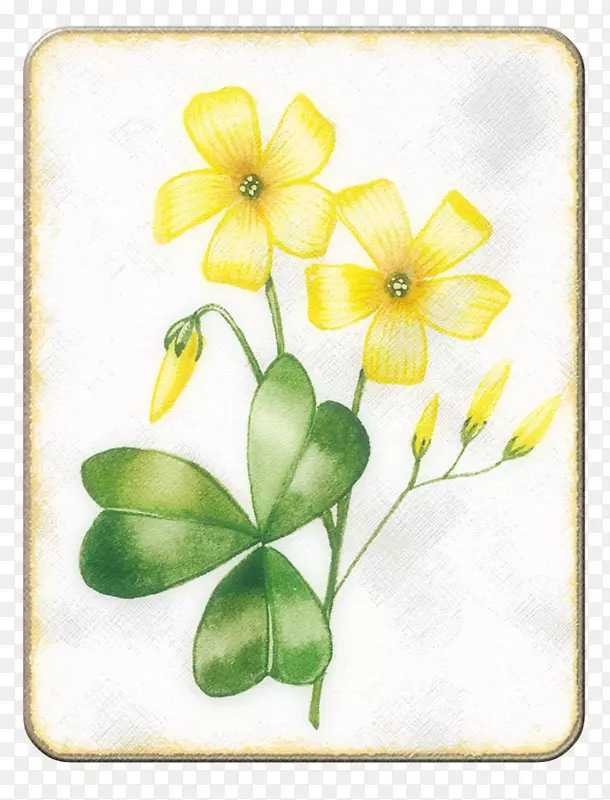 ����-����ɫ�˻�-������