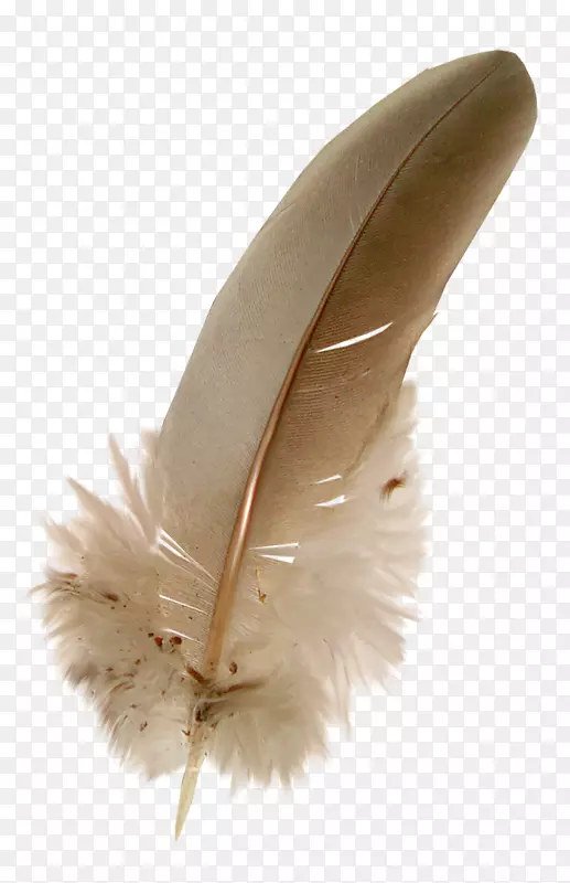 ��ë����ͼ�������-������