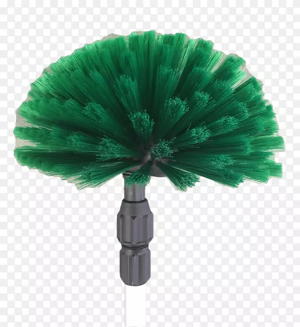 ����ɫ����-������