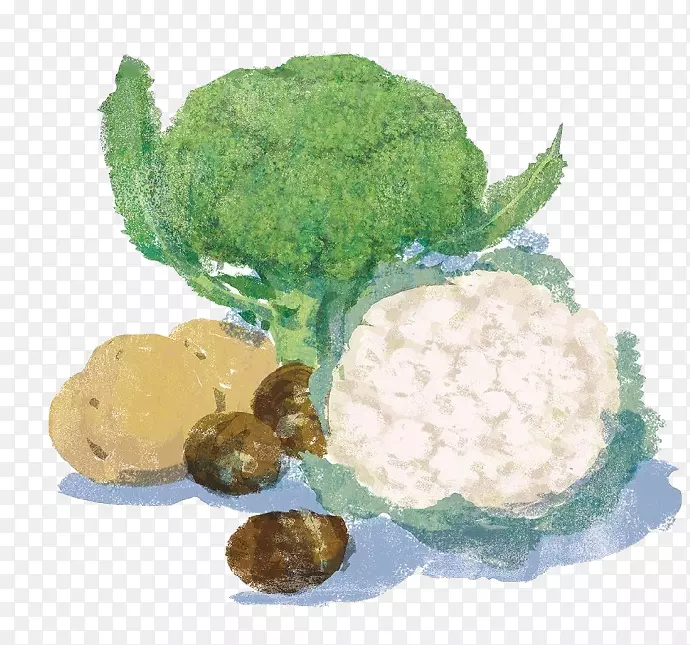 �˻��߲˻�Ҭ��ʳƷ��ͼ��ͨ��Ҭ���߲�-������