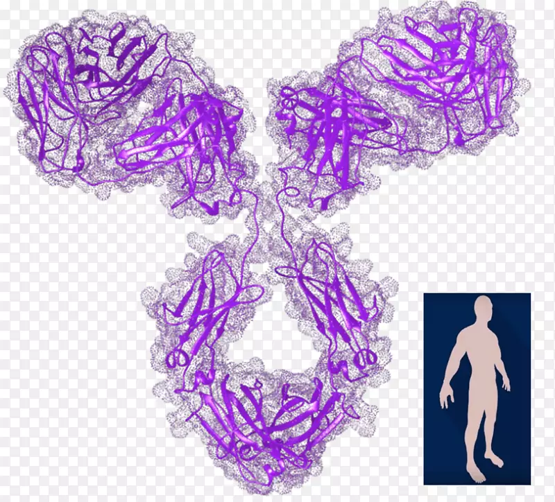 ޹�²��϶�����ɫ����-���⴫��-������